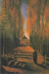 Allée de peupliers en automne